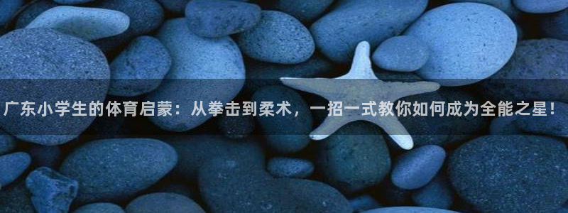 中欧体育官网：广东小学生的体育启蒙：从拳击到柔术，一招一式教你如何成为全能之星！