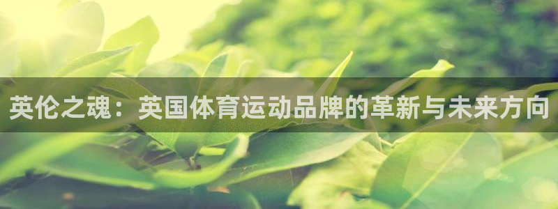 中欧体育网址：英伦之魂：英国体育运动品牌的革新与未来方向