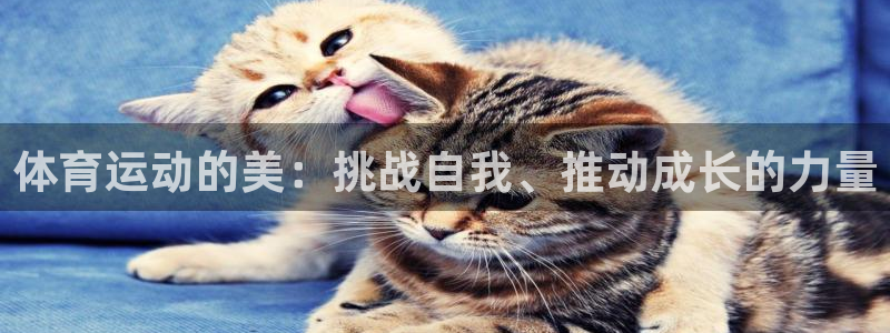 中欧体育最新地址：体育运动的美：挑战自我、推动成长的力量