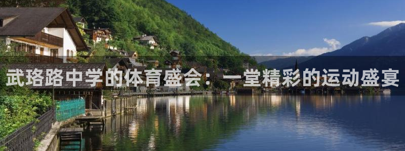 中欧体育客服：武珞路中学的体育盛会：一堂精彩的运动盛宴