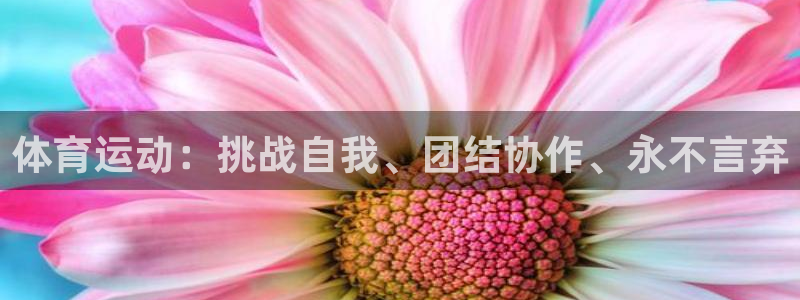 中欧体育kok：体育运动：挑战自我、团结协作、永不言弃
