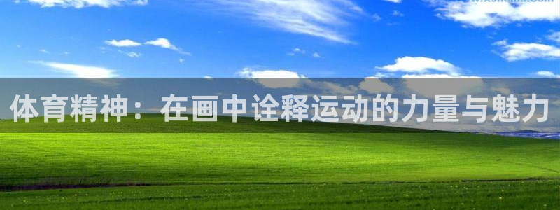 zoty中欧体育：体育精神：在画中诠释运动的力量与魅力