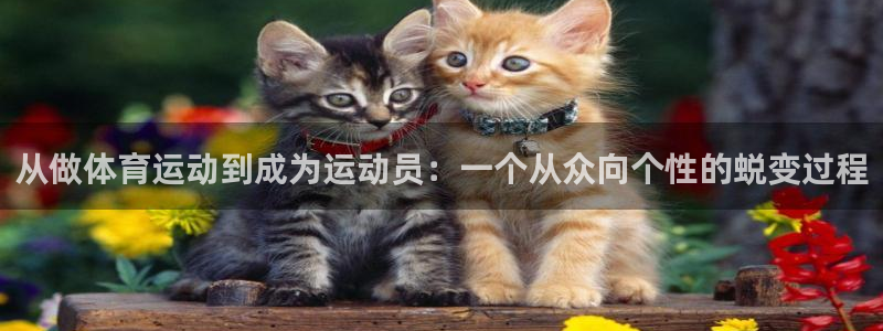 中欧体育zoty下载：从做体育运动到成为运动员：一个从众向个性的蜕变过程